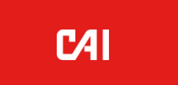 Image result for CAI International, Inc.