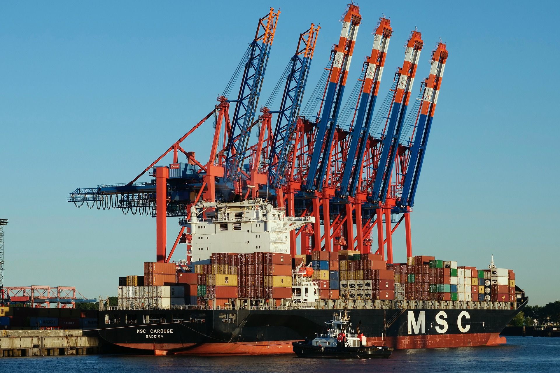 MSC Shipping Container Picture