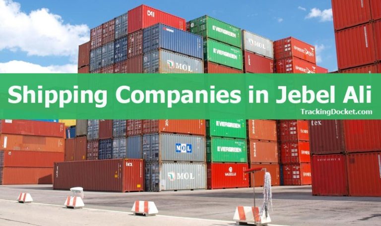 Jebel Ali Shipping Companies