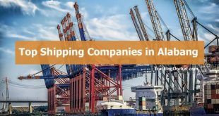 Shipping Companies in Alabang