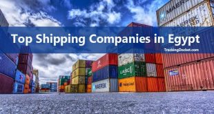 Top Shipping Companies in Egypt