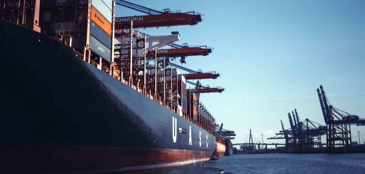 Top Miami shipping companies 