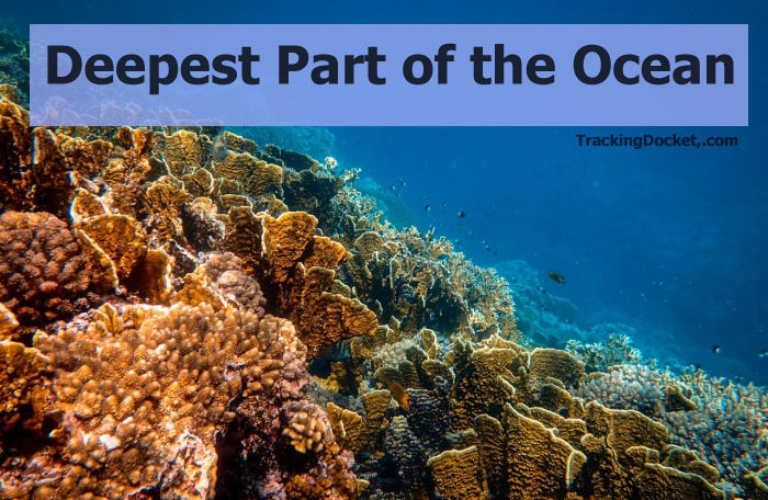 Deepest part of Ocean in the World