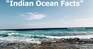 About the Indian Ocean Facts