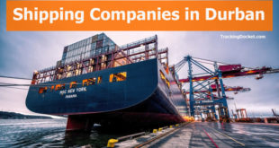 Durban Shipping Companies